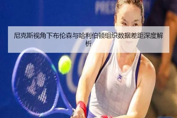 尼克斯视角下布伦森与哈利伯顿组织数据差距深度解析