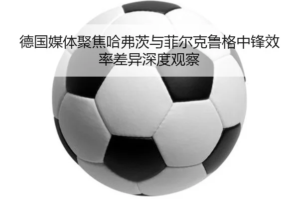 img_1783026831758_1364_1_501.jpg